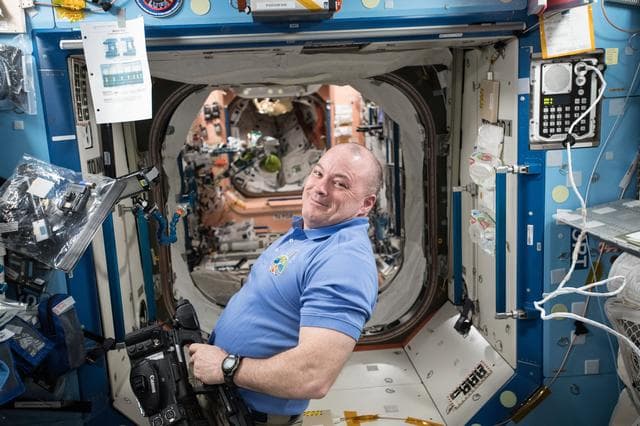 NASA image: iss055e018690