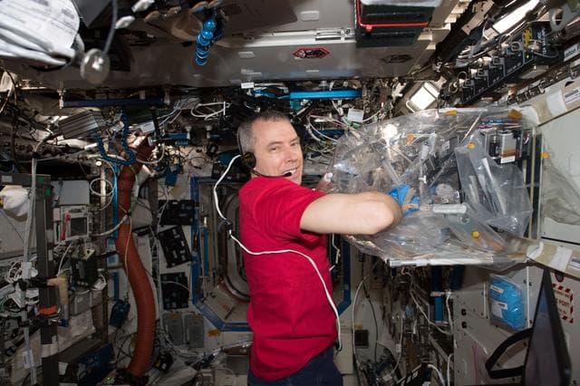 NASA image: iss055e036790