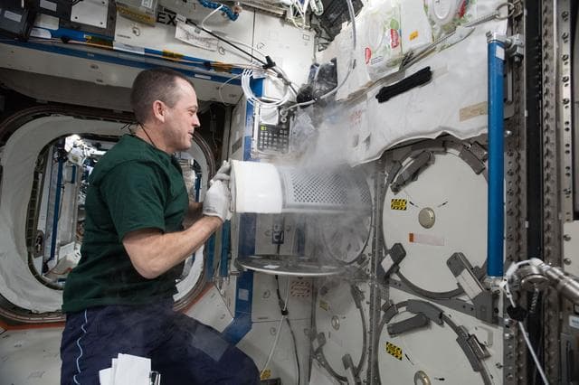 NASA image: iss055e043245
