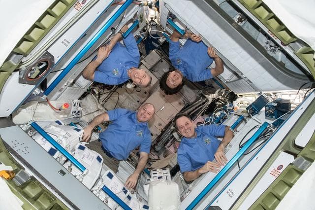 NASA image: iss055e054626