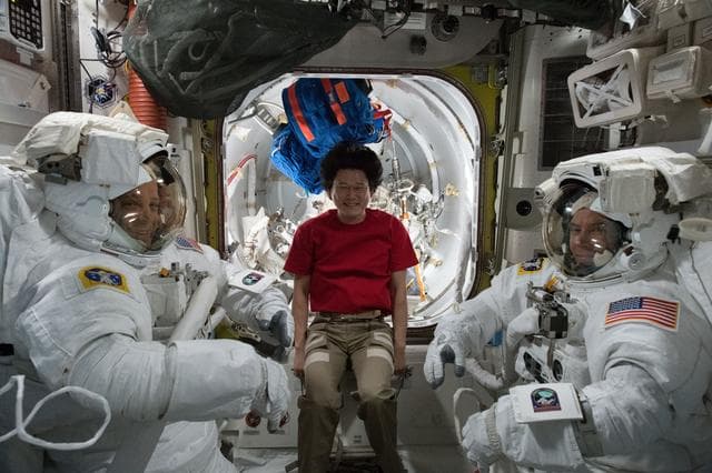 NASA image: iss055e063888