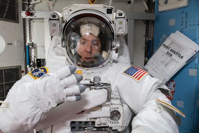 NASA image: iss055e073488