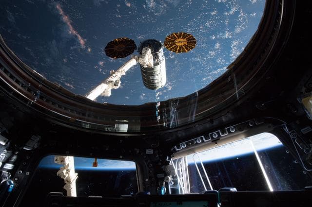 NASA image: iss055e074781