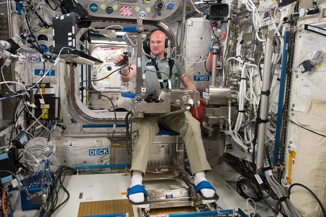 NASA image: iss056e009782