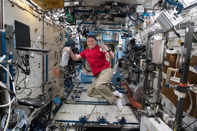 NASA image: iss056e009809