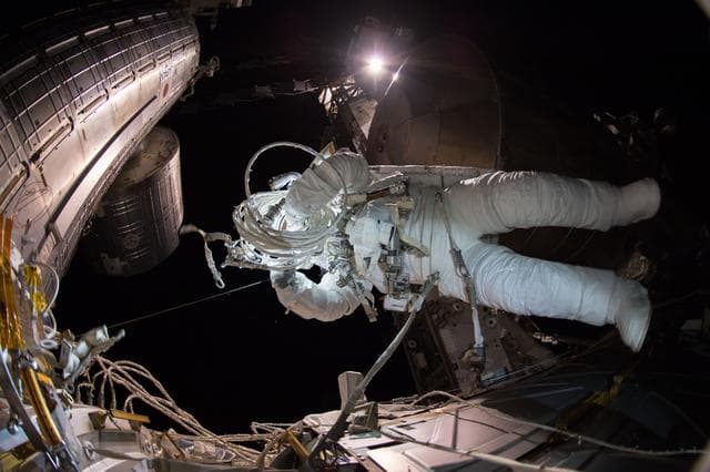 NASA image: iss056e011989