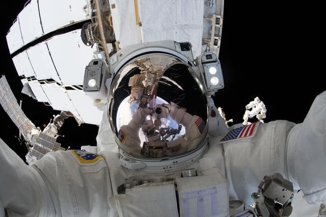NASA image: iss056e012043