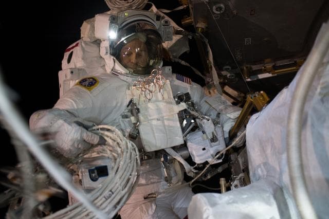 NASA image: iss056e012164