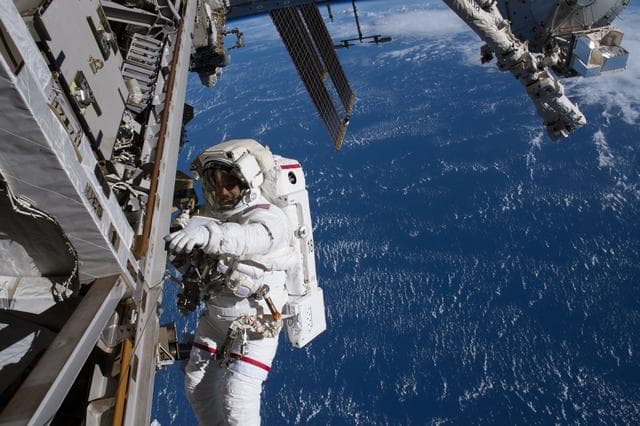 NASA image: iss056e012432