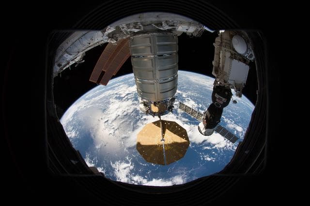NASA image: iss056e025135