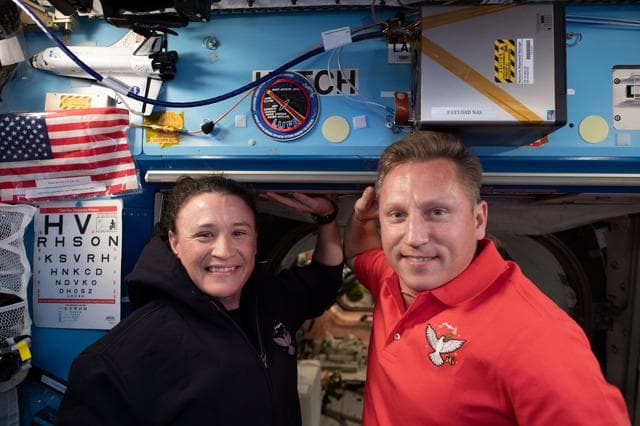 NASA image: iss056e032441