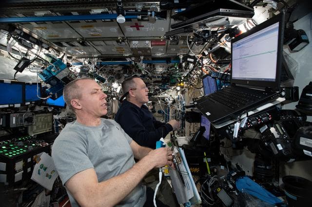 NASA image: iss056e037503