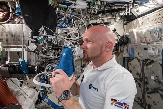 NASA image: iss056e055604