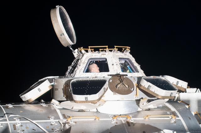NASA image: iss056e062951