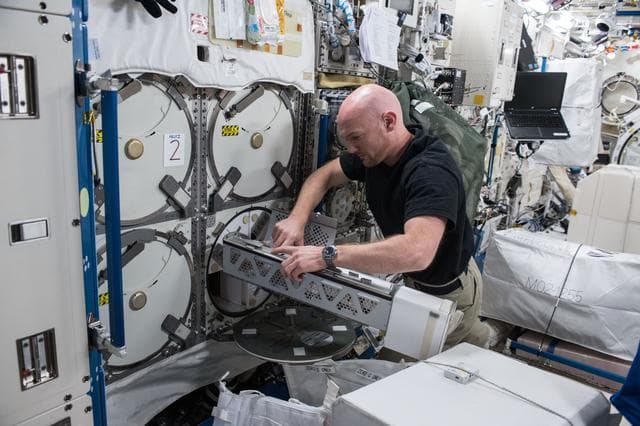 NASA image: JAXA Low Temperature (LT) Protein Crystal Growth (PCG)