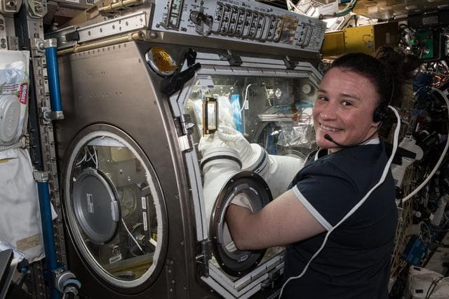 iss056e078401