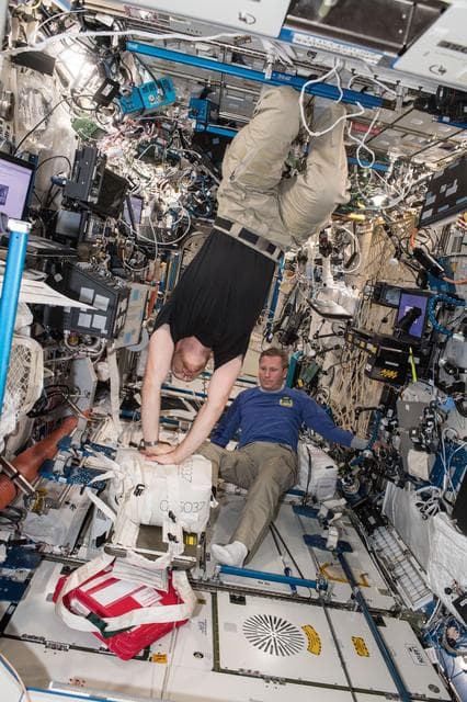 NASA image: CHeCS Emergency Health Maintenance System Contingency Drill Training