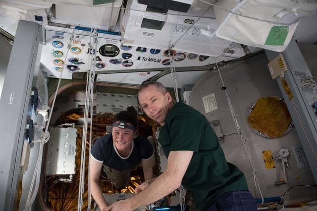 NASA image: iss056e084246