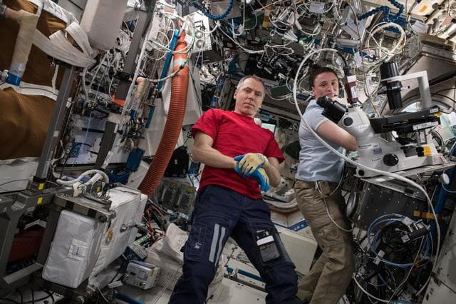 NASA image: iss056e094992