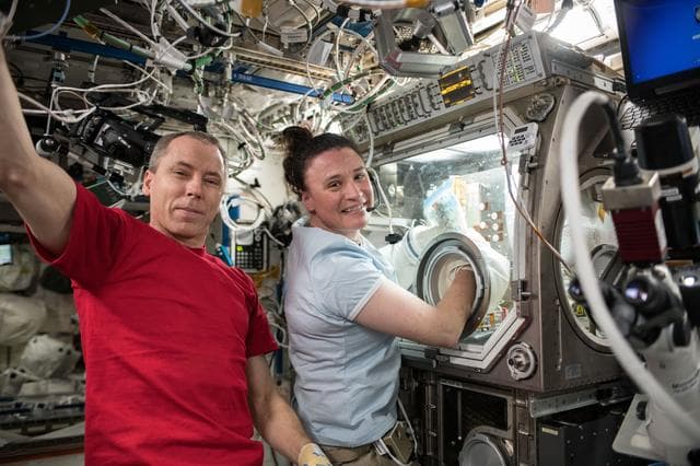 NASA image: iss056e094996