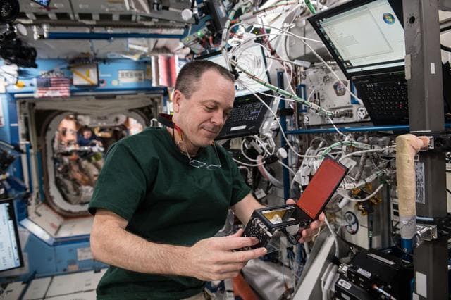 NASA image: Arnold works on Gear - Bone Densitometer Field Calibration
