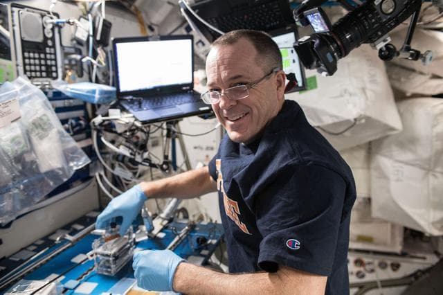 NASA image: iss056e097419