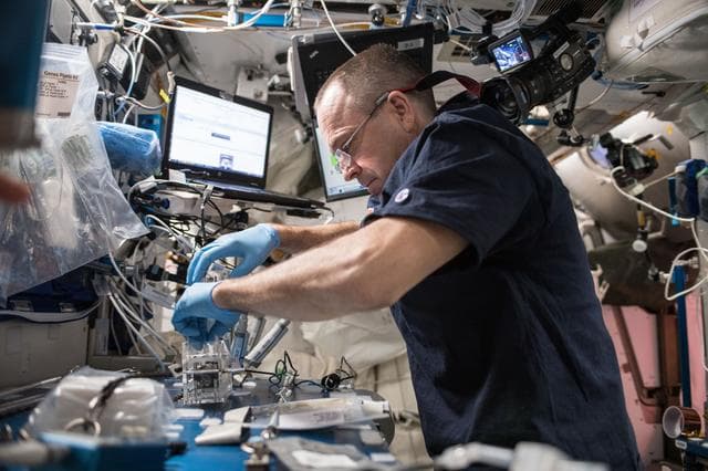 NASA image: Biomolecule Extraction and Sequencing Technology (BEST)