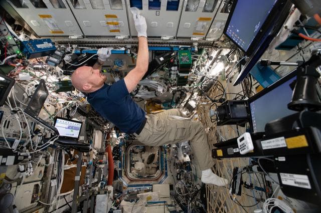 NASA image: iss056e099195