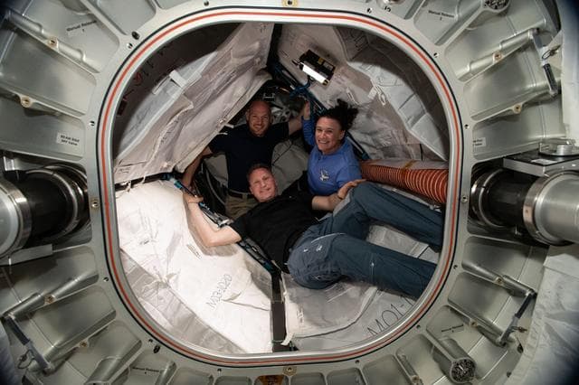 NASA image: Gerst, Prokopev, and Serena Auñón-Chancellor in the BEAM during Daily Life on the ISS