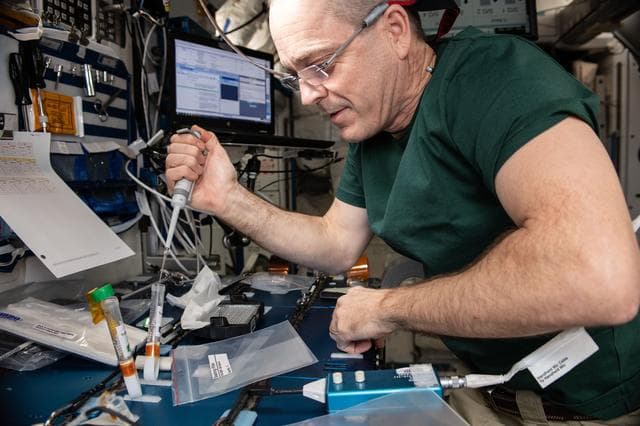 NASA image: iss056e142862_alt