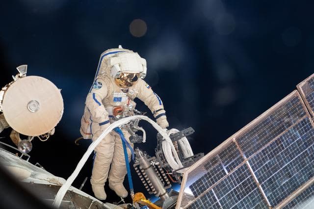 NASA image: iss056e142981