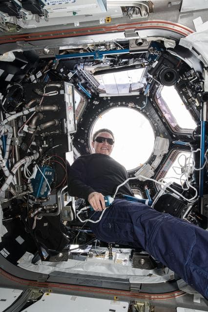 NASA image: iss056e152943