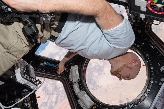 NASA image: iss056e152980