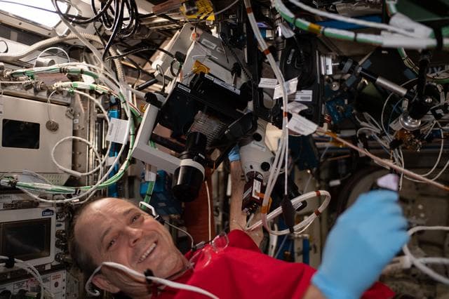 NASA image: iss056e160897
