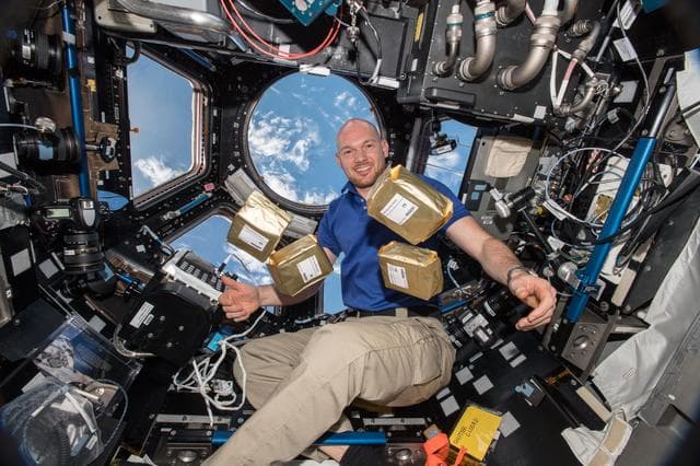 NASA image: Earth Guardian Seeds Photo Shooting