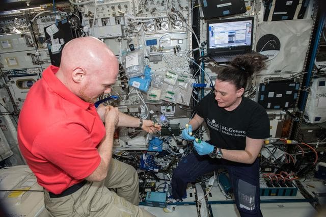 NASA image: iss056e200803