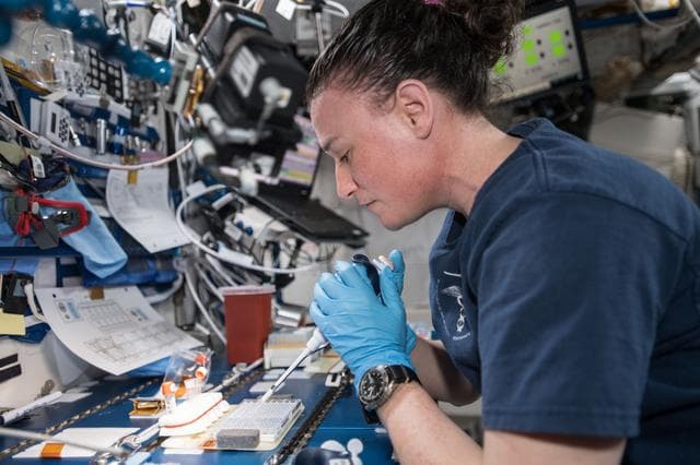 NASA image: iss057e074529