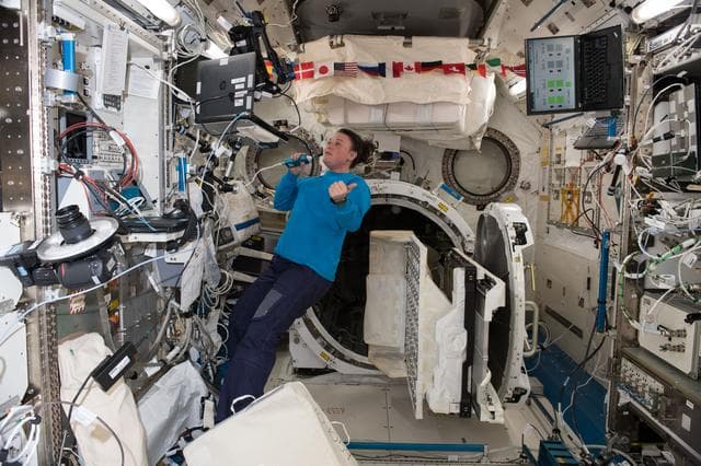 NASA image: iss057e105379