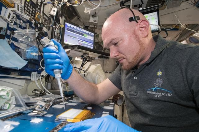 NASA image: iss057e106231