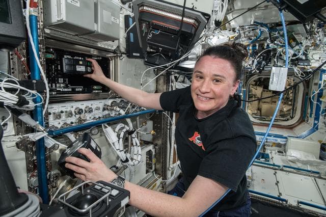 NASA image: iss057e106264