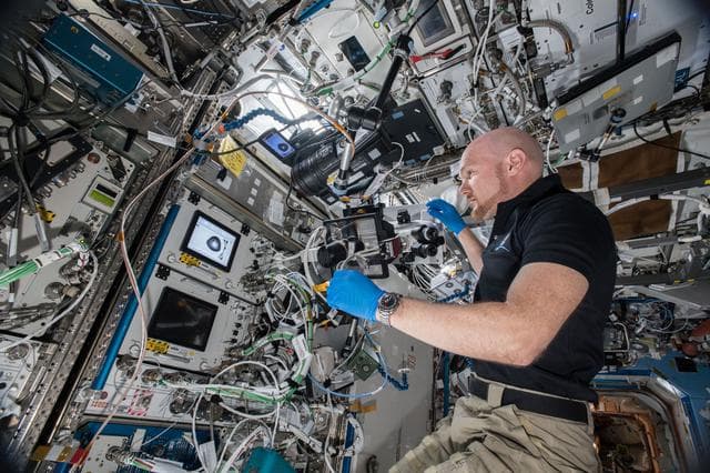 NASA image: PCG 16 Microscope Card Imagery OPS