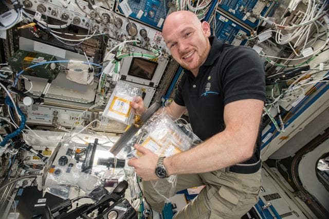 NASA image: iss057e114766