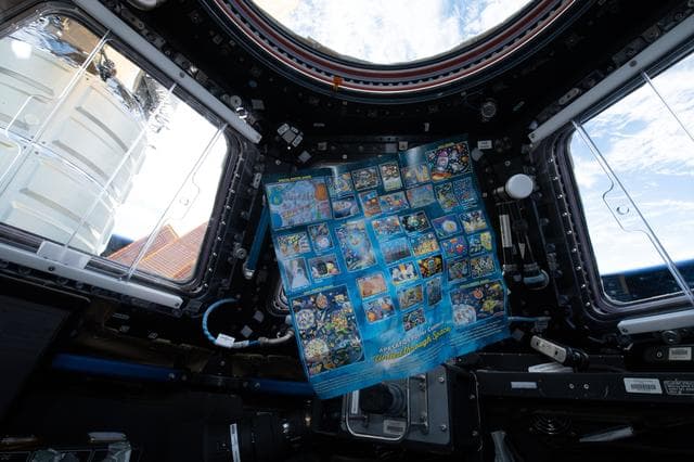 NASA image: NanoRacks Module-48 Imagery