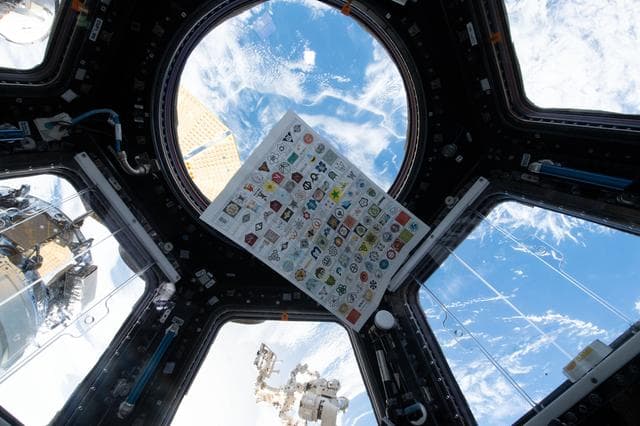 NASA image: NanoRacks Module-48 Imagery