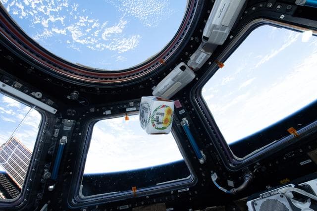 NASA image: NanoRacks Module-48 Imagery