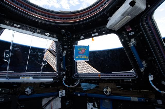NASA image: NanoRacks Module-48 Imagery