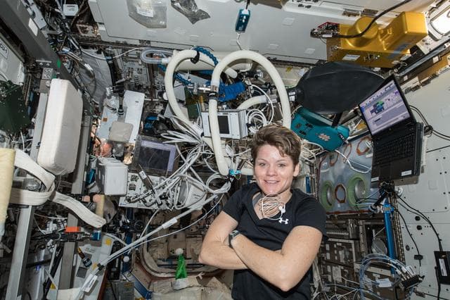NASA image: NASA astronaut Anne McClain