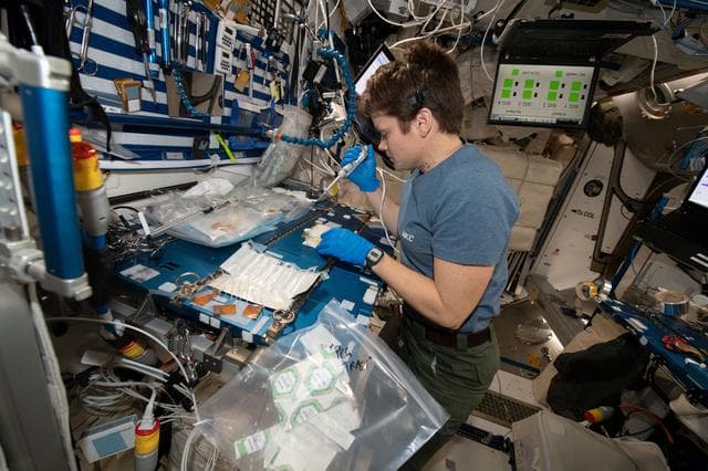 NASA image: NASA Astronaut Anne McClain Conducts Space Science and Station Maintenance