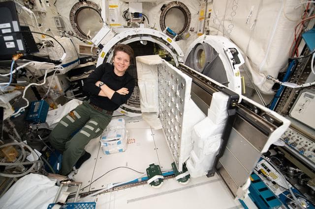 NASA image: NASA Astronaut Anne McClain Conducts Space Science and Station Maintenance