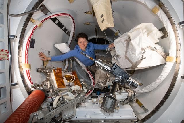 NASA image: iss059e001041
